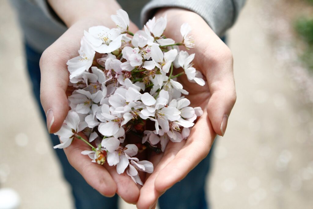 des mains qui tiennent des fleurs blanches.